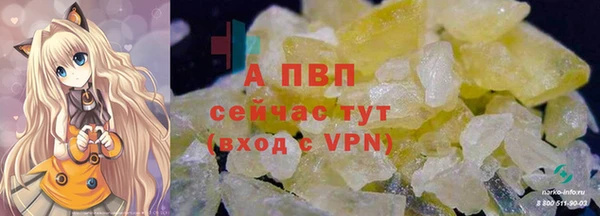 стаф Вяземский