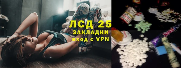 стаф Вяземский