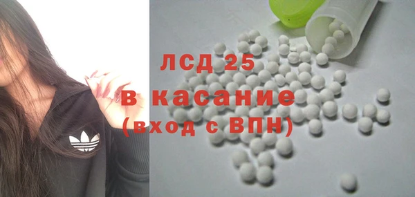 стаф Вяземский