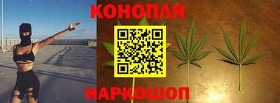 сатива Изобильный