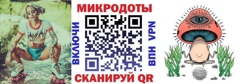 Псилоцибиновые грибы Psilocybine cubensis Муром