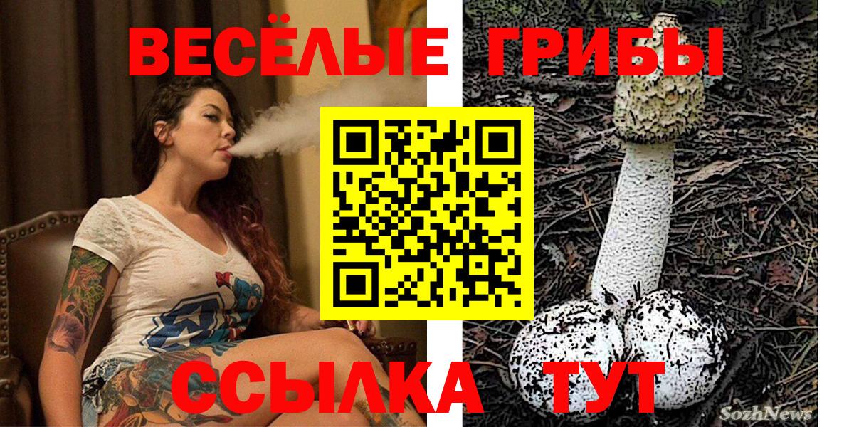Псилоцибиновые грибы MAGIC MUSHROOMS Муром