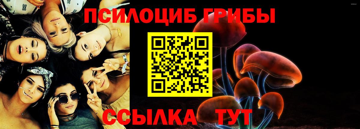 как найти наркотики  Псилоцибиновые грибы Cubensis  Вход с VPN  Муром 